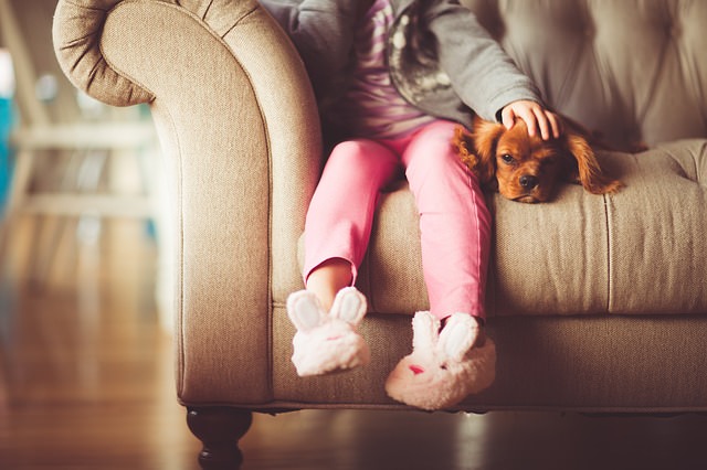 child and dog sat on sofa